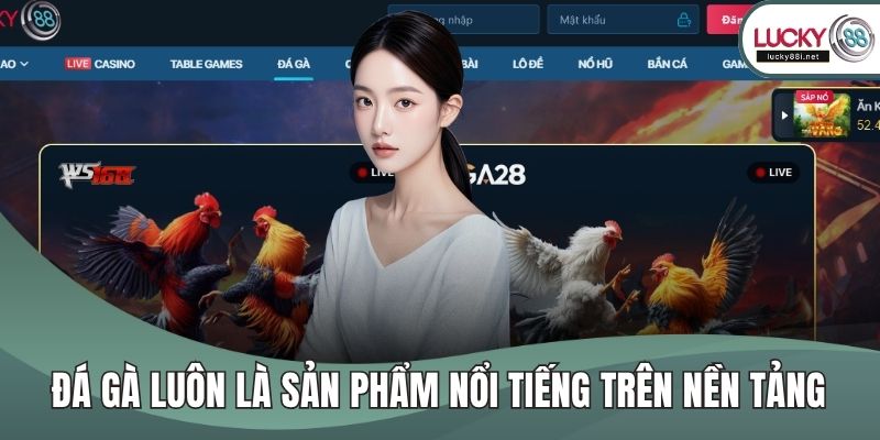 Đá gà luôn là sản phẩm nổi tiếng trên nền tảng